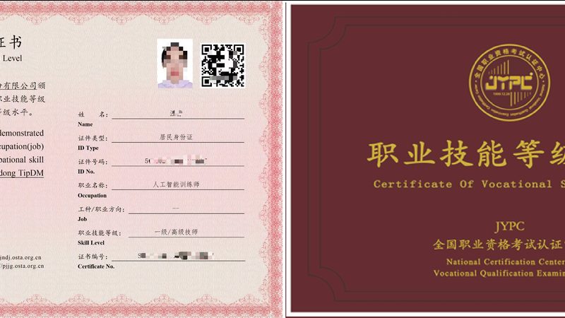 人工智能算法工程师：薪资背后的行业洞察**